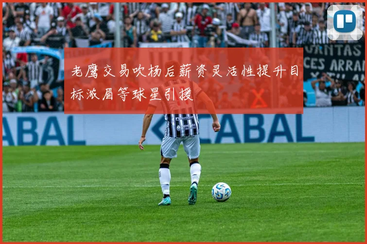 老鹰交易吹杨后薪资灵活性提升目标浓眉等球星引援