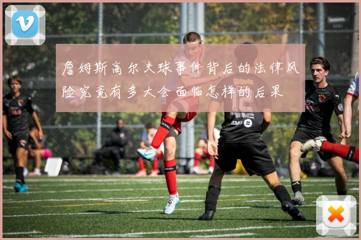 詹姆斯高尔夫球事件背后的法律风险究竟有多大会面临怎样的后果