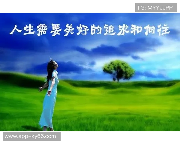 字母与空间的价值观：在困境中寻找无限可能与希望